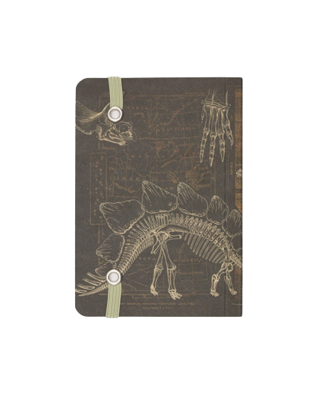 Dinosaur Bones Observation Softcover Notebook