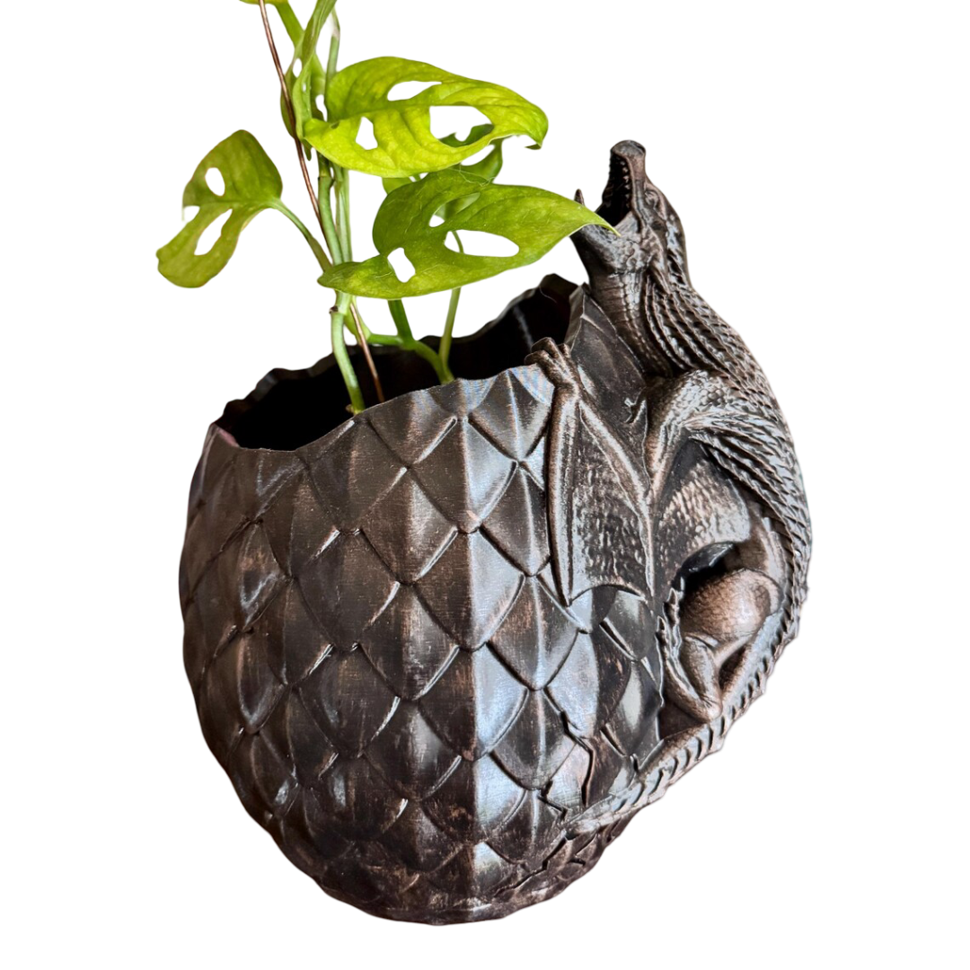 Dragon Egg Wooden Planter Modern Wood Cases Home Decor/Kitchenware