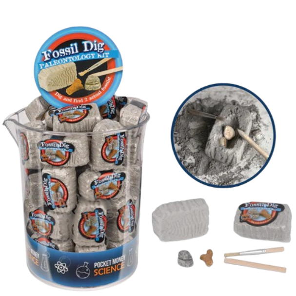 Fossil Dig Paleo Kit Heebie Jeebies Projects/Kits