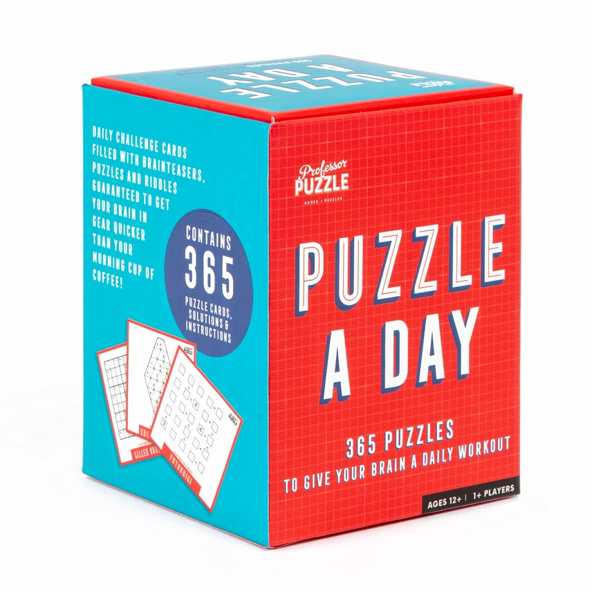 Puzzle A Day: 365 Brain Puzzles Professor Puzzle Puzzles/Playthings
