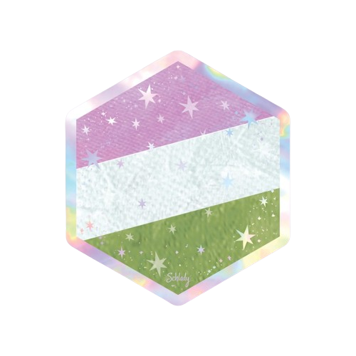 Starry Genderqueer Pride Flag Holo Hexagon Sticker Schlady Paper Products