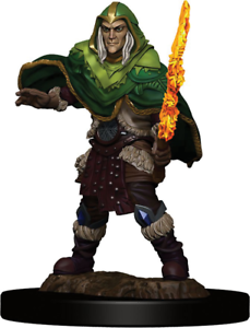 D&amp;D Icons of the Realms: Elf Male Fighter W05