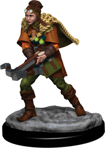 D&amp;D Icons of the Realms: Human Female Ranger W05