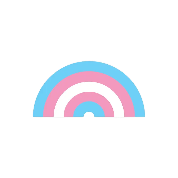 Trans Pride Rainbow Vinyl Sticker