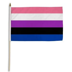 GenderFluid 12&quot;x18&quot; Flag on a Stick