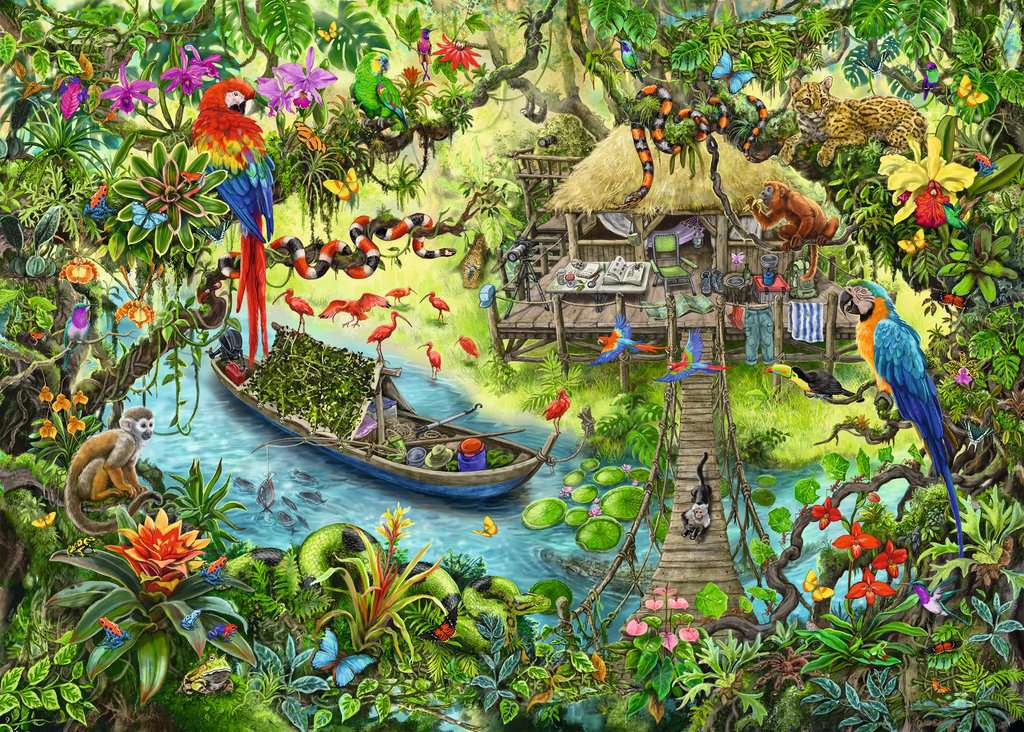 Escape Puzzle Kids: Jungle Journeys