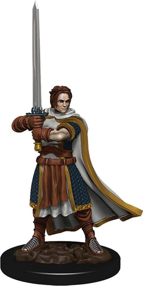 D&D Icons of the Realms: Human Male Cleric Wizards of the Coast Board Games