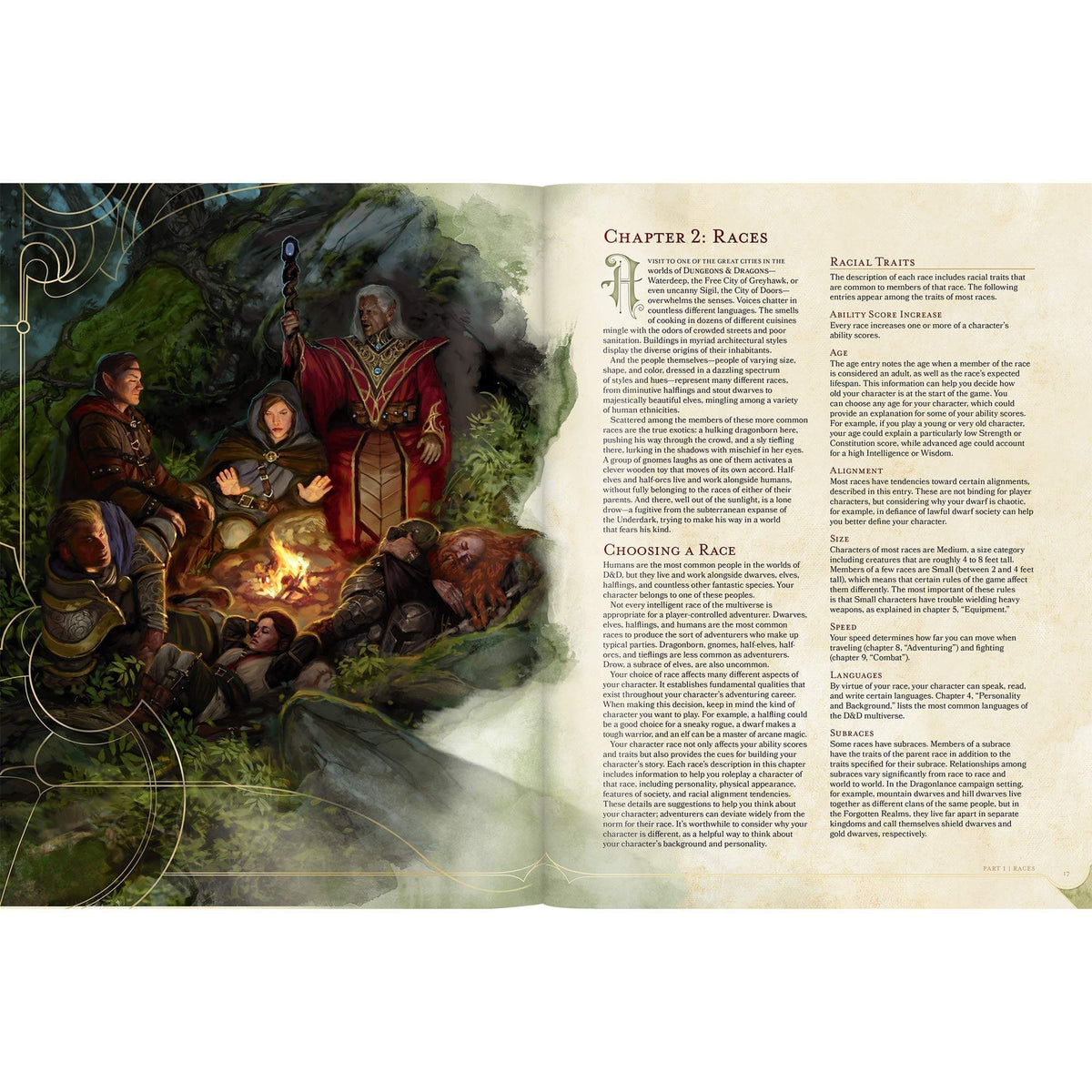 D&amp;D: Player&#39;s Handbook 5th Edition Wizards of the Coast Board Games