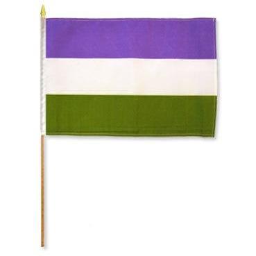 Genderqueer 12&quot;x18&quot; Flag on a Stick Rainbow Depot Misc.