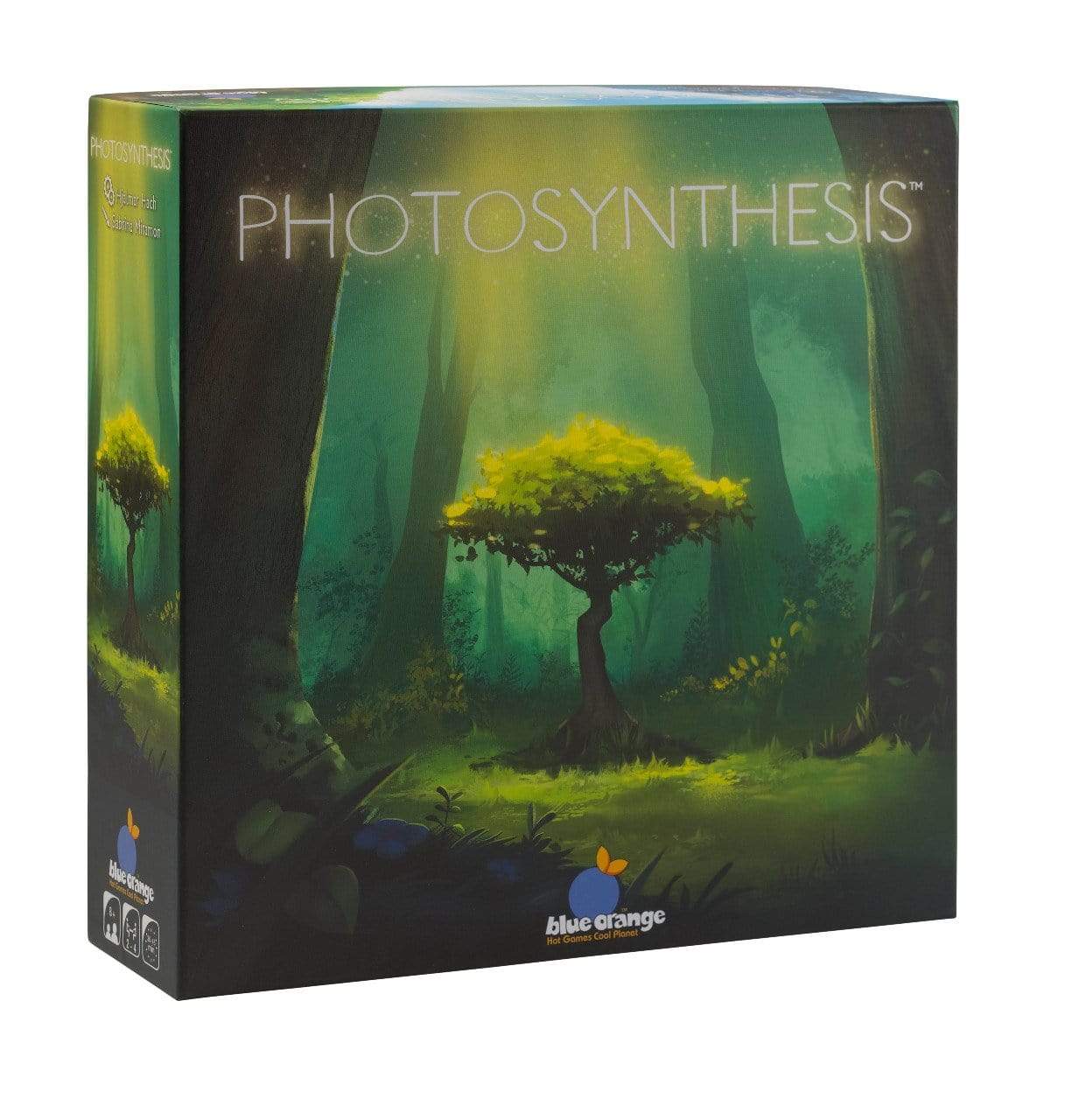 Photosynthesis Blue Orange Board Games