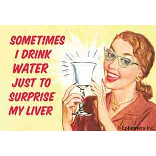 Sometimes I drink water just to surprise my liver magnet Ephemera Home Decor/Kitchenware